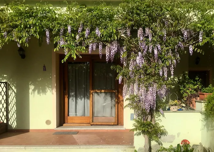 Luciana House